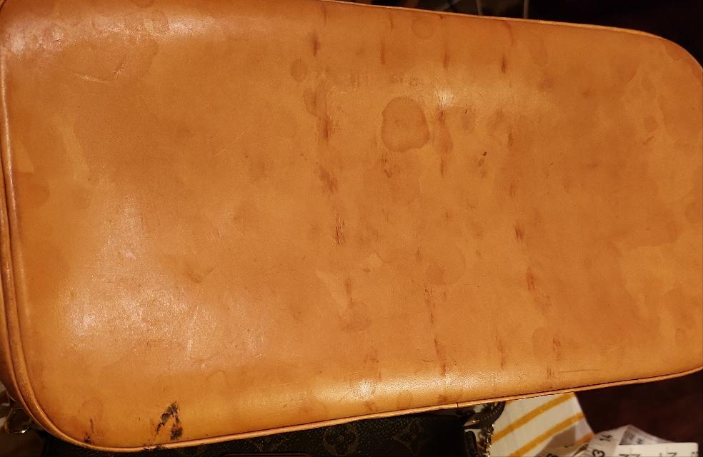 Louis Vuitton Alma PM