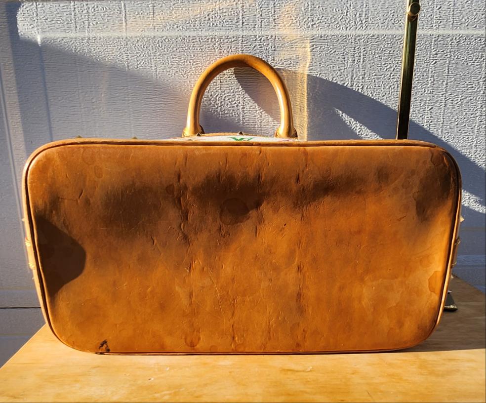 Louis Vuitton Alma PM