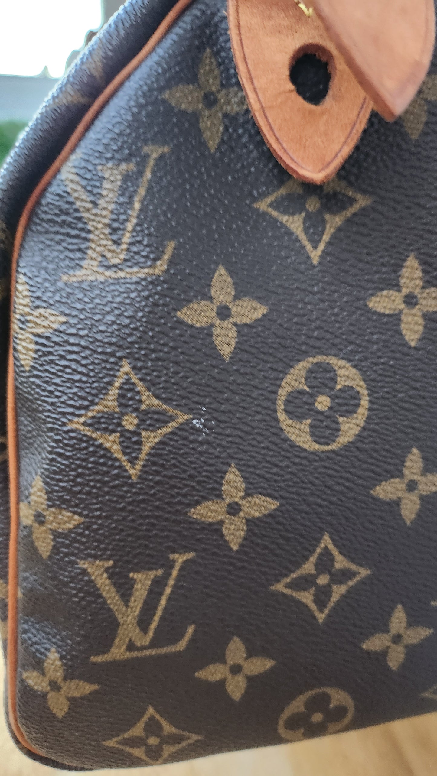 Louis Vuitton Speedy 25