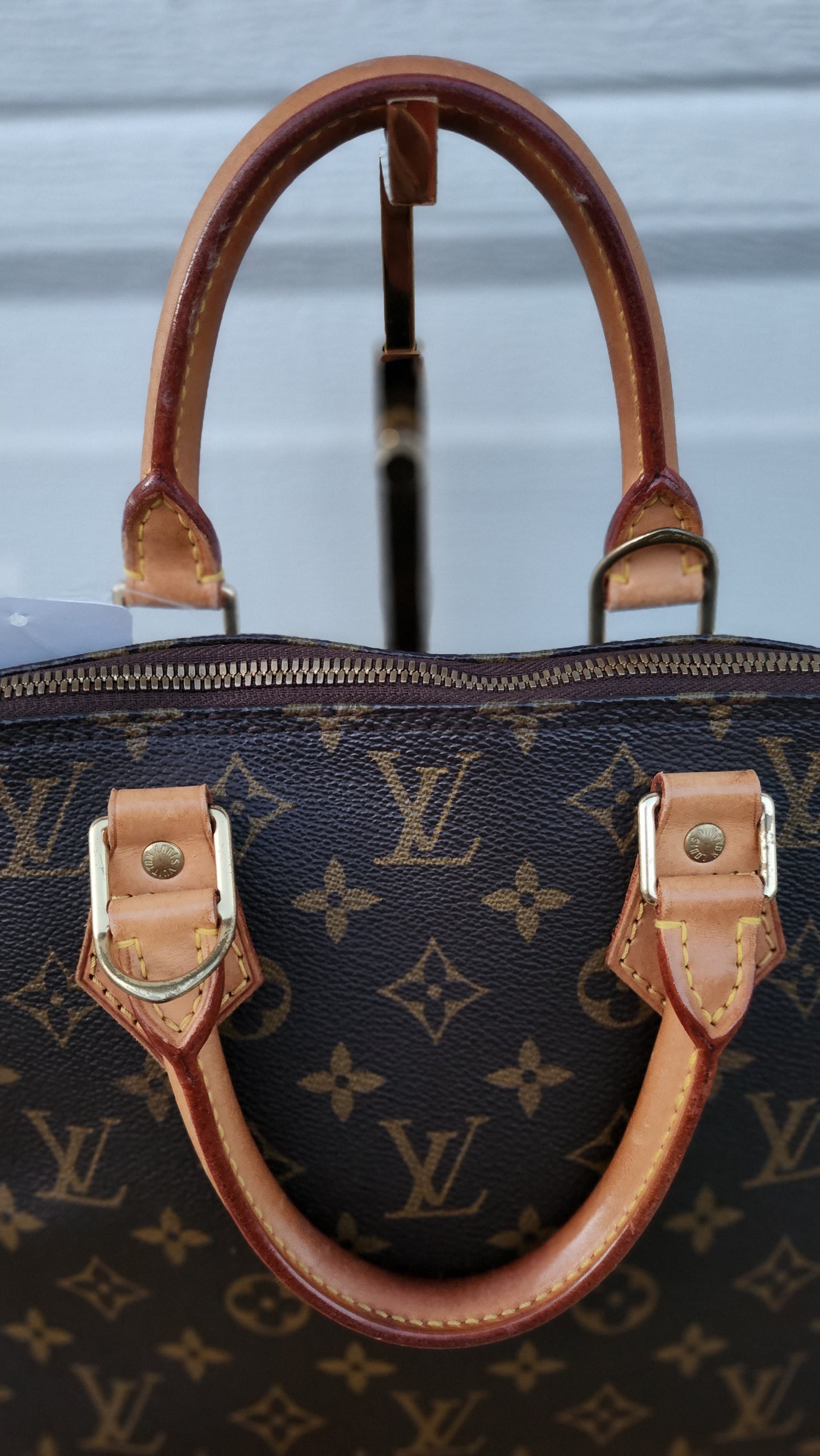 Louis Vuitton Alma Bag